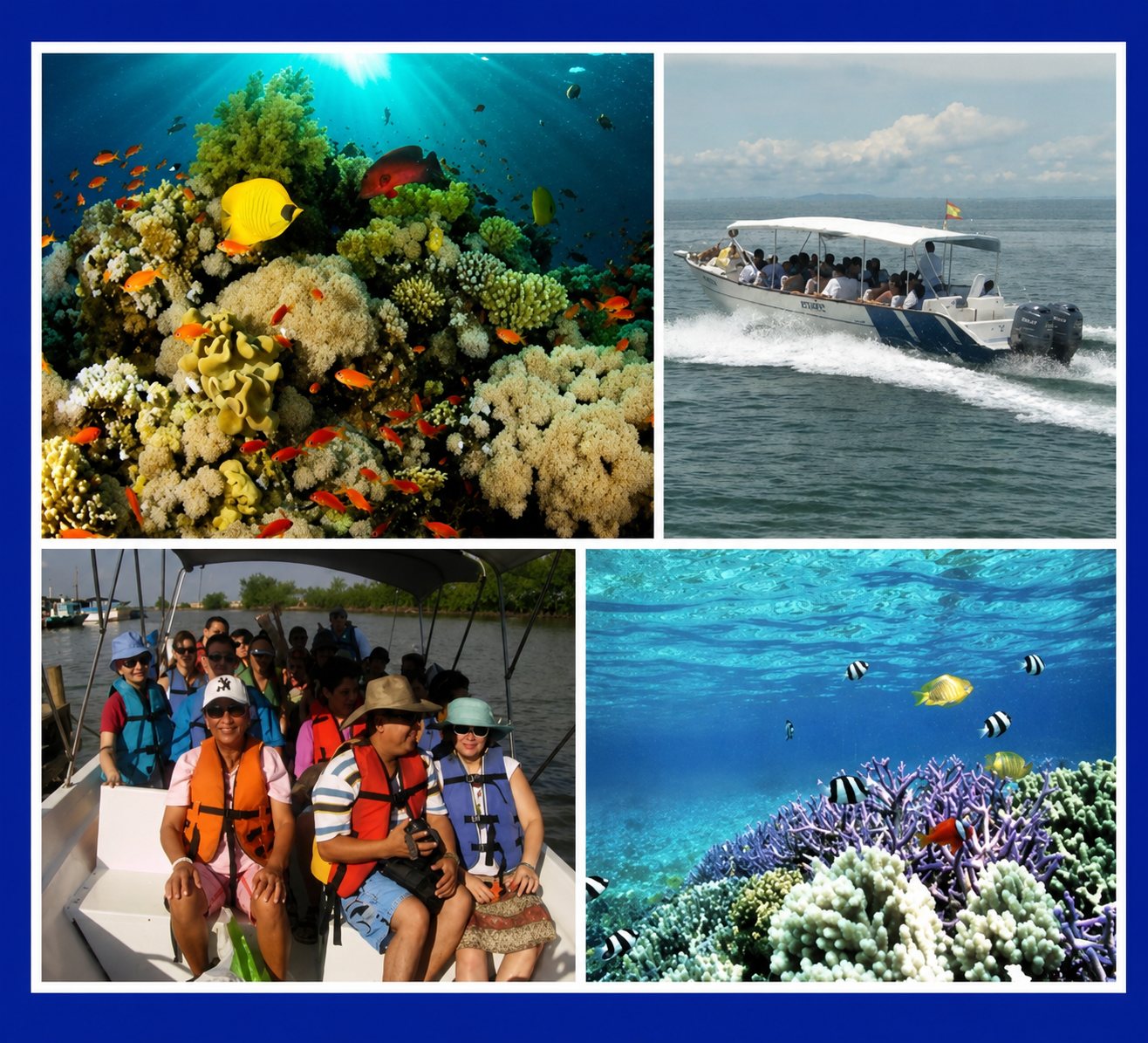 ISLAS